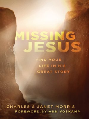 cover image of Missing Jesus